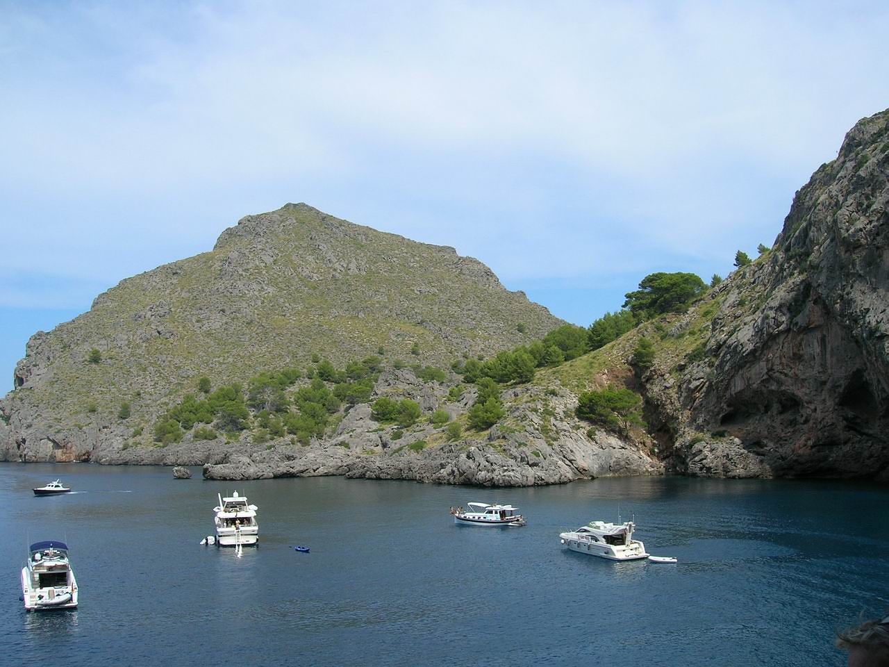 Torrent de Parreis